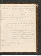 Seite 93, Tagebuch "Palästina (Tagebuch)" (NHMW-PRAE-BBB-80)